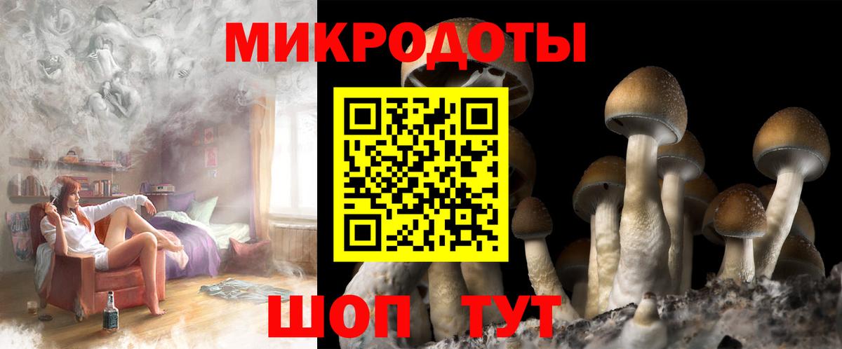 Галлюциногенные грибы мухоморы Саров