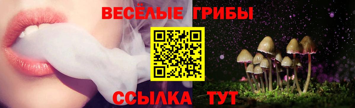 Галлюциногенные грибы мухоморы  Вход с VPN  Саров 
