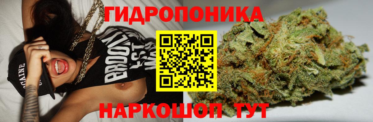 Бошки марихуана конопля  Шишки марихуана LSD WEED  Саров  Вход с VPN  Марихуана Amnesia 